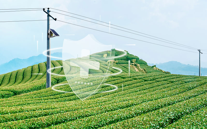 Reliable Connection and Secured Data with Power Distribution Overhead Line Monitoring Concentrator