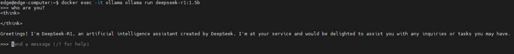 Interacting with DeepSeek R1 Model